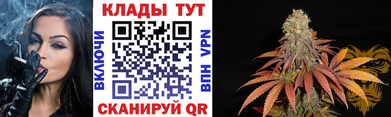 Купить наркотики сайты Купино Бутират  Конопля  Мефедрон  A PVP  ГАШИШ  КОКАИН  Псилоцибиновые грибы 