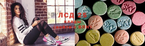 шишки Бугульма