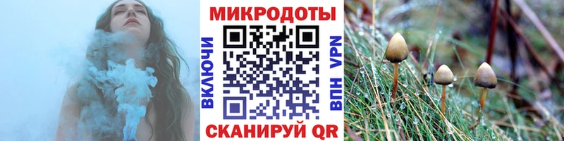 Галлюциногенные грибы мухоморы  Купино 